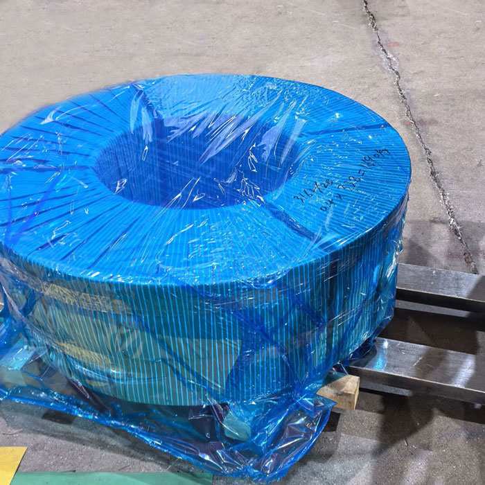 High Precision Stainless Steel Strip